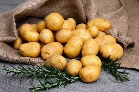 Семенной картофель Импала (порция 500 г)