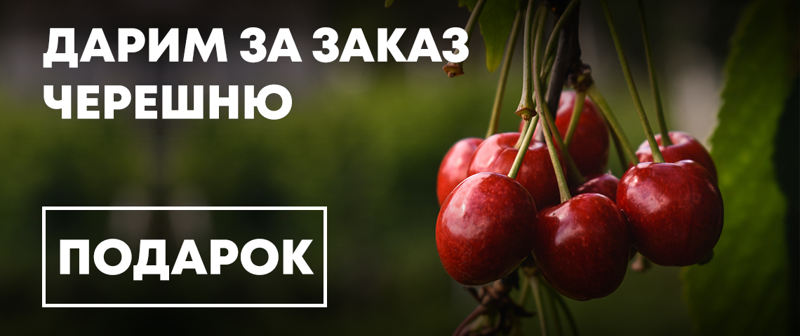 Когда день черешни. День черешни 29 июня. День черешни 29 июня открытки. Черешня 29 июня. Сегодня день черешни.