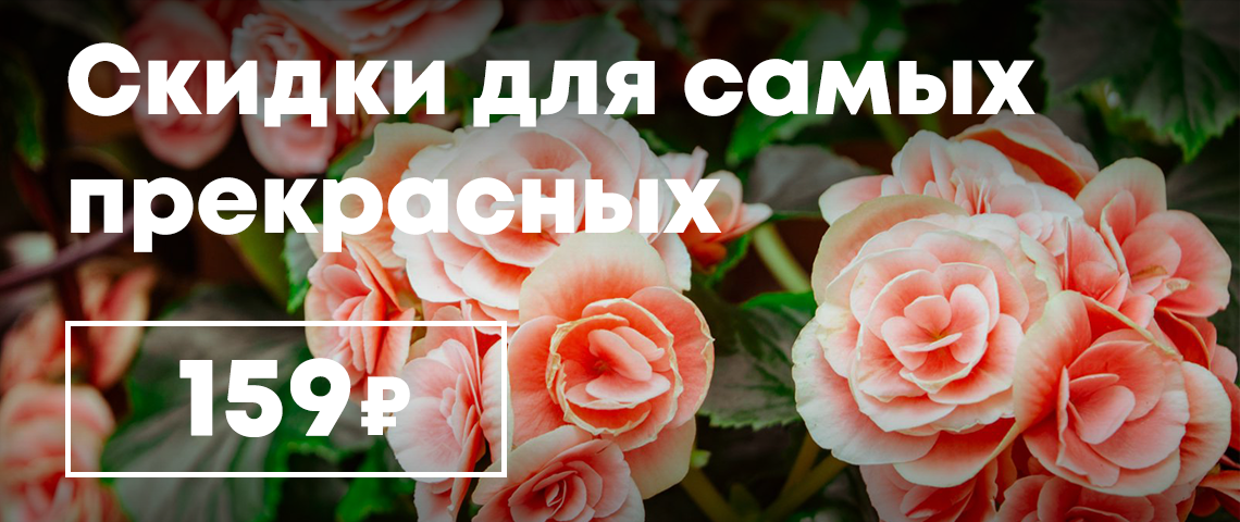 Последний день акции!