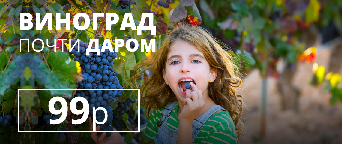 Весь Виноград по 99 рублей!
