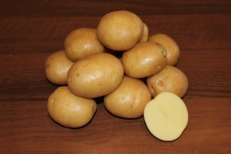 Семенной картофель Гулливер (порция 500 г)