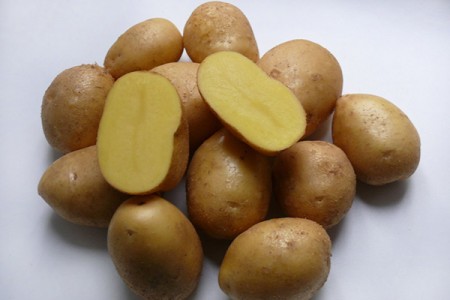 Семенной картофель Невский