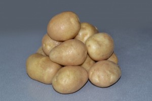 Семенной картофель Удача (порция 500 г)