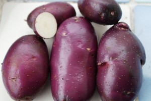 Семенной картофель Василек (порция 500 г)