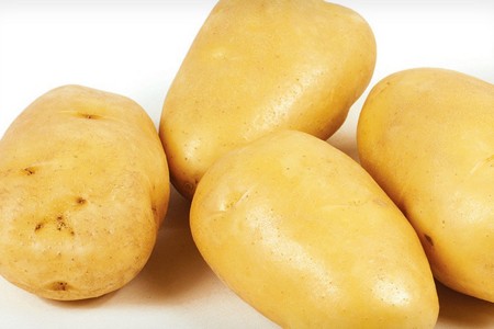 Семенной картофель Зекура (порция 500 г)