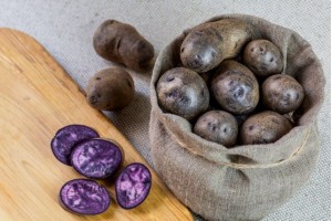 Семенной картофель Гурман (порция 500 г)