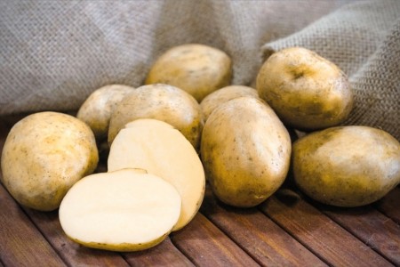 Семенной картофель Королева Анна (порция 500 г)