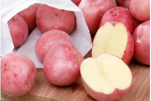 Семенной картофель Романо (порция 500 г)